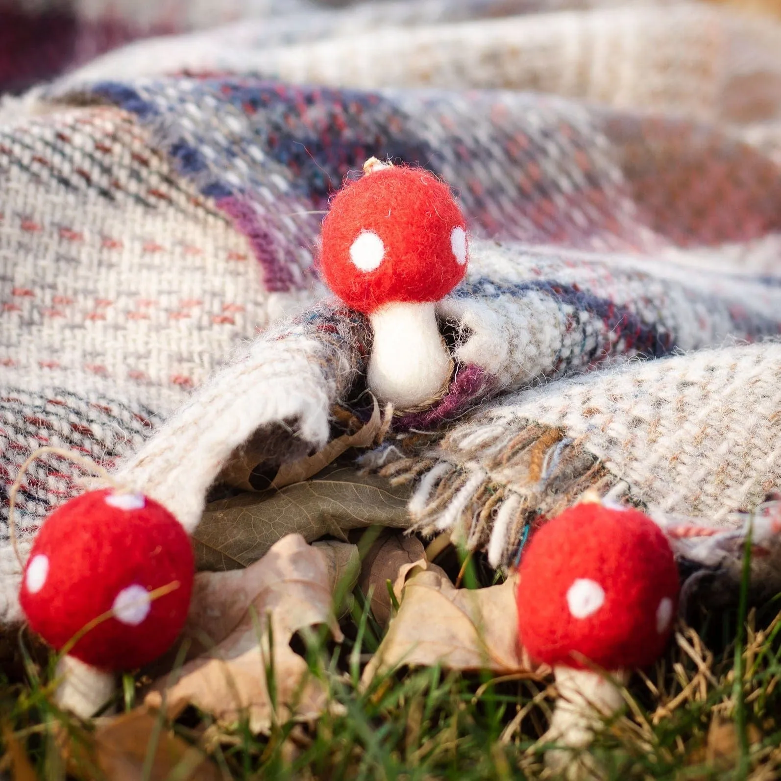 Amanita Mushrooms Eco Toys - Set of 3