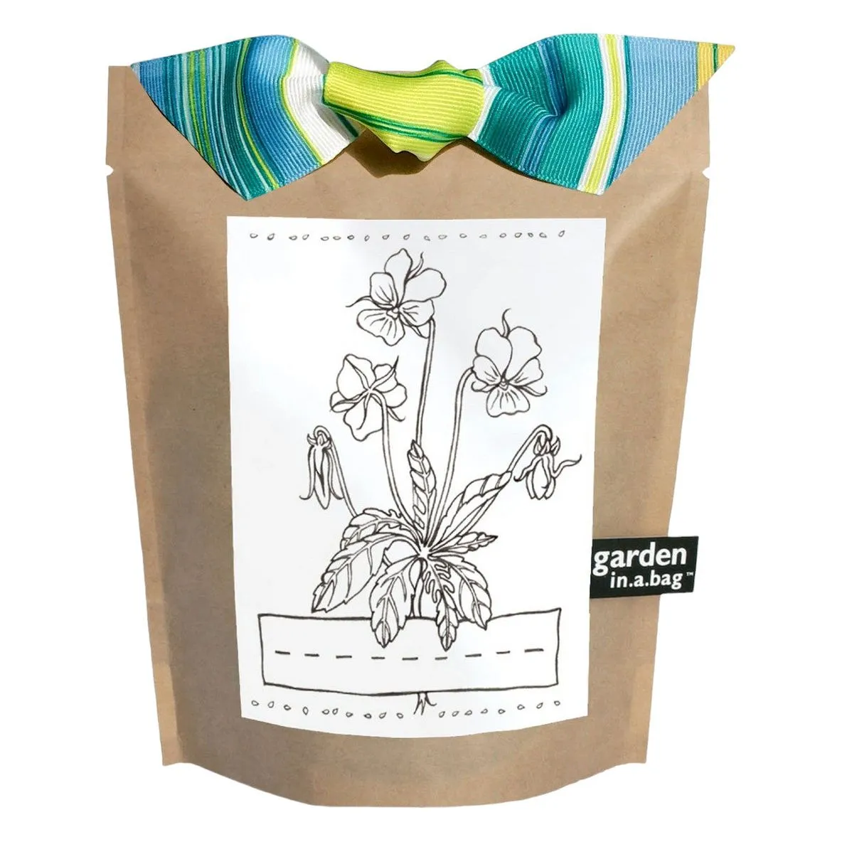 Kids Garden in A Bag | Viola