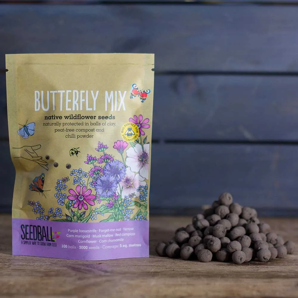 Seedball Wildflower Grab Bag - Butterfly Mix